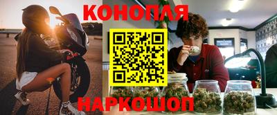 гашик Гусь-Хрустальный
