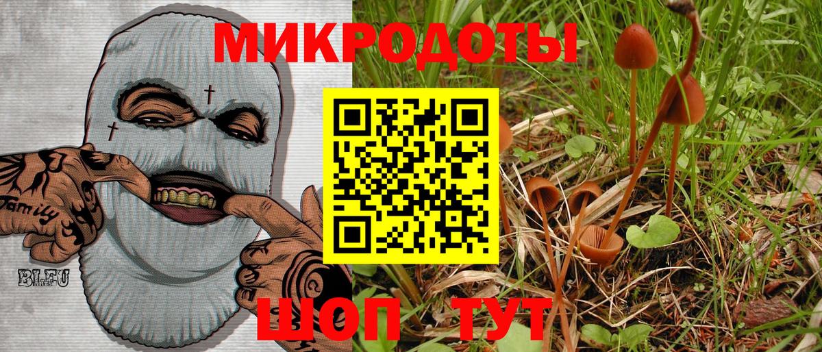 Чита  Псилоцибиновые грибы мухоморы  сколько стоит  Псилоцибиновые грибы Psilocybe  Вход с VPN 